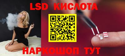 мяу мяу мука Камышлов